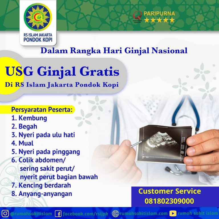 ukuran ginjal normal usg 081802309000 - Tempat Promosi Premium